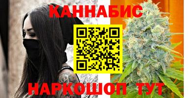 индика Аргун