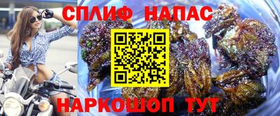индика Аргун