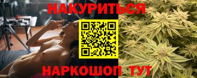 индика Аргун