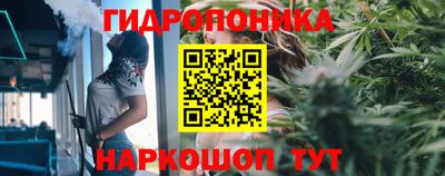 индика Аргун
