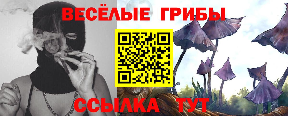 Псилоцибиновые грибы прущие грибы  Псилоцибиновые грибы Psilocybine cubensis  Выкса  Вход с VPN 